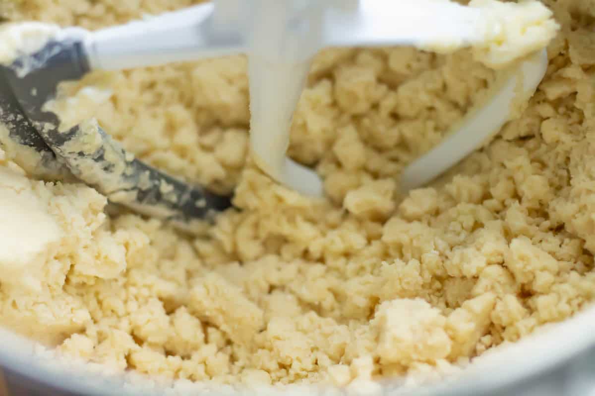 Old-Fashioned Butter Cookie Recipe | thewendthousekitchen.com Butter, sugar and flour mixed together and crumbly in the bowl of a stand mixer.