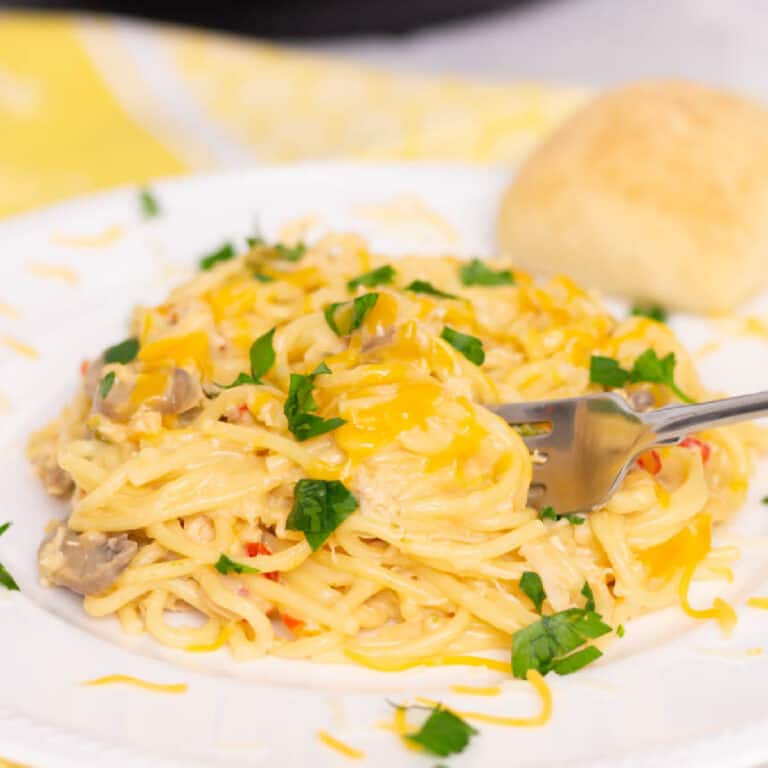 Chicken spaghetti on a white plate with a fork and a roll in the background