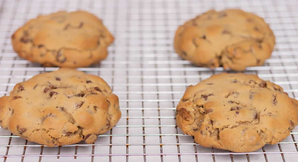 Four baked chocolate chip cookies on a wire cooling grid