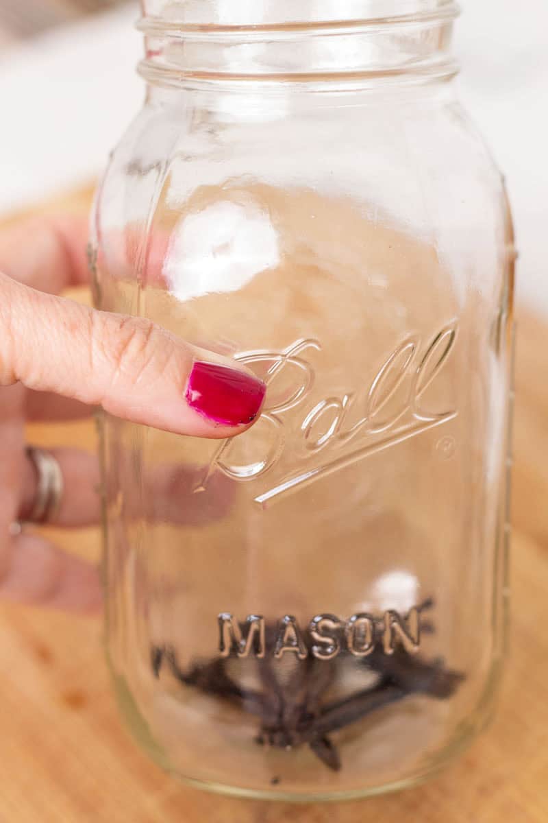Easy Bourbon Vanilla Extract | thewendthousekitchen.com Holding a glass Mason jar with vanilla beans inside.