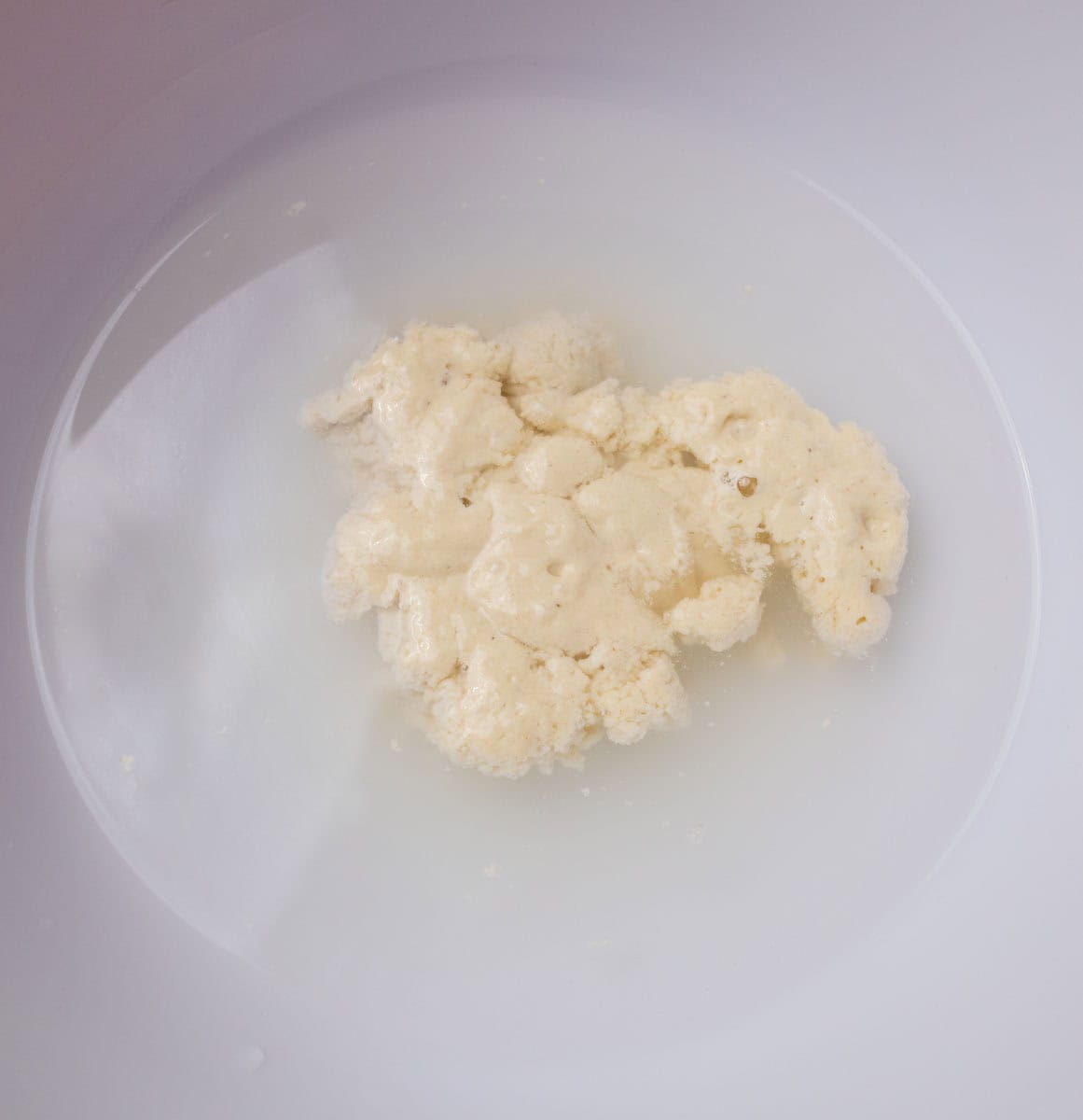 How To Make Artisan Sourdough Bread | thewendthousekitchen.com Sourdough starter added to water in a large mixing bowl.