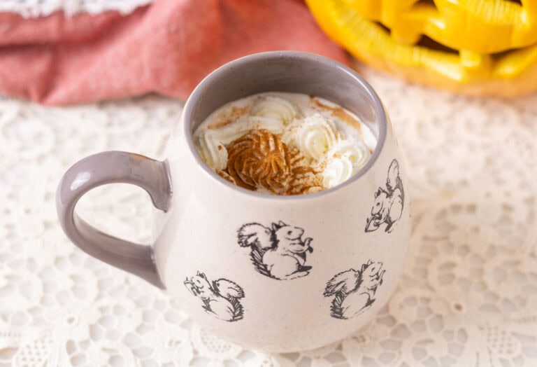 Pumpkin spice chai latte inside a mug with squirrels. A pumpkin in the background.