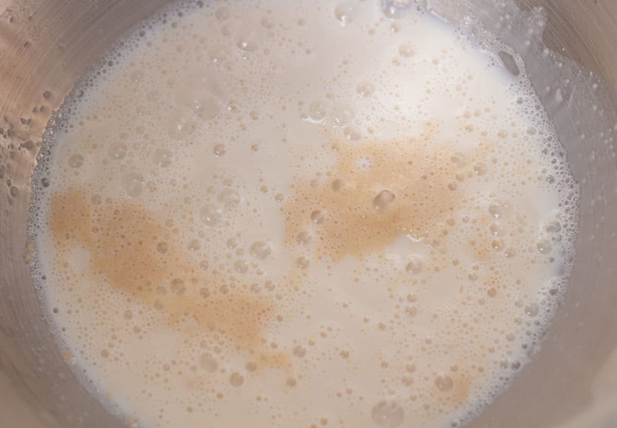 Sour Dough Discard Cinnamon Rolls | thewendthousekitchen.com Milk, sugar, sourdough discard added to yeast and water in the bowl of a stand mixer.