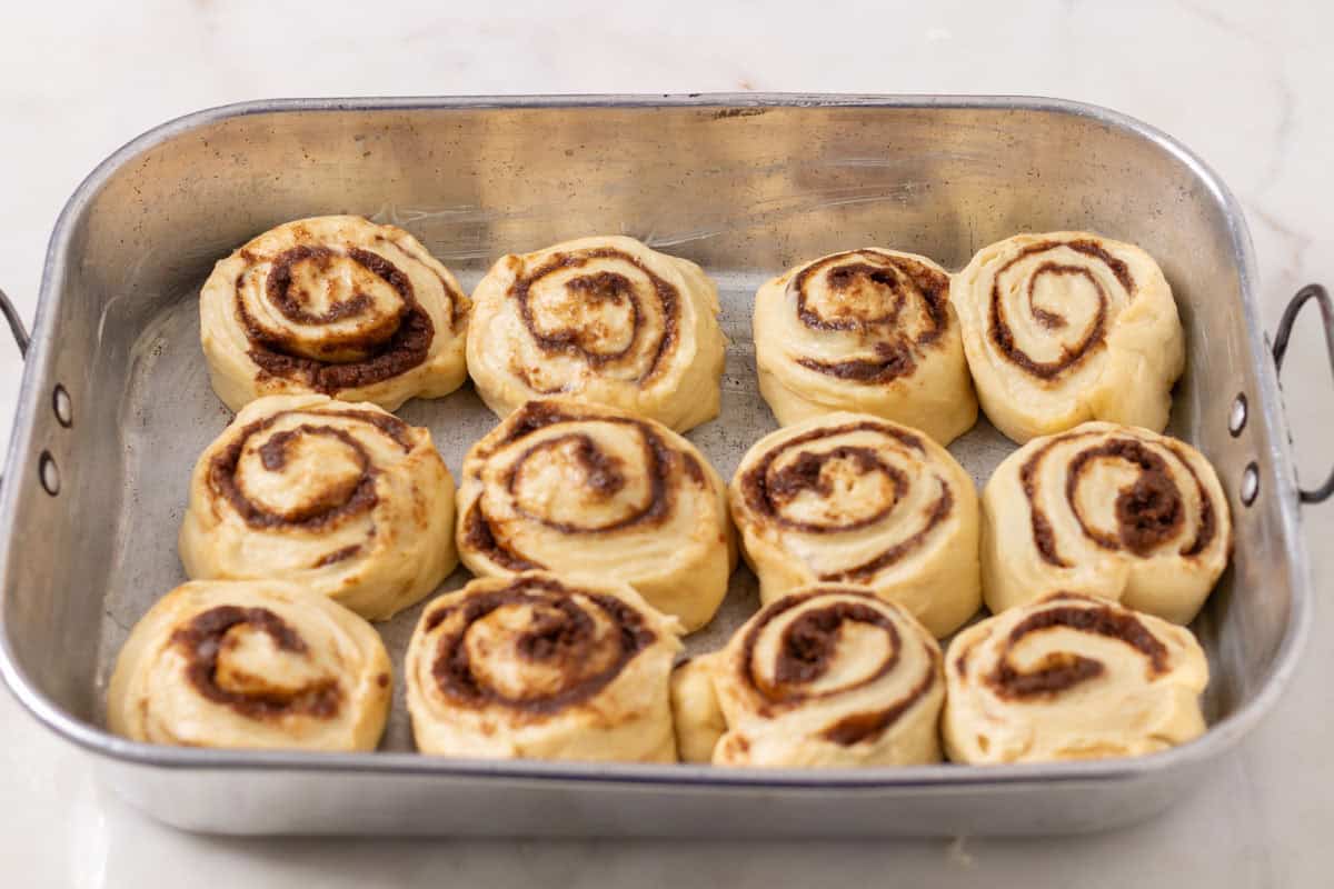 Sour Dough Discard Cinnamon Rolls | thewendthousekitchen.com Raw cinnamon rolls inside of a buttered metal pan.