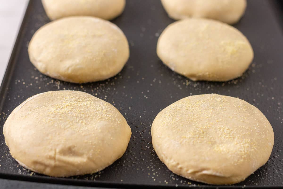 Sourdough Discard English Muffin Recipe | thewendthousekitchen.com English muffins cooking on an electric skillet.