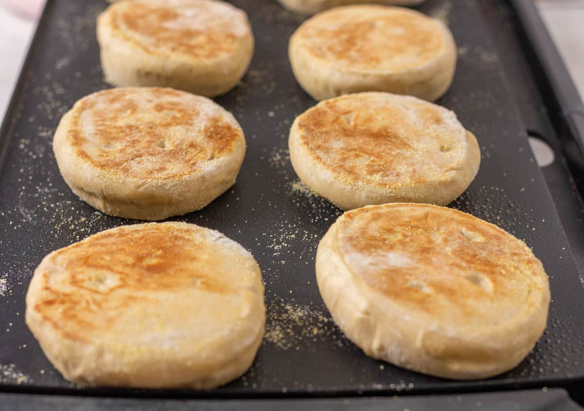 Sourdough Discard English Muffin Recipe | thewendthousekitchen.com Golden English muffins on an electric skillet.