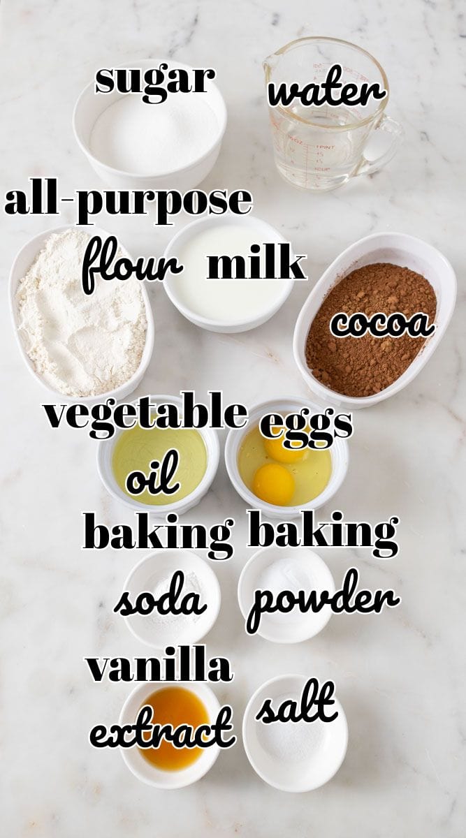 Chocolate Mint Cake with Mint Cream Cheese Frosting | thewendthousekitchen.com Ingredients for chocolate cake in individual bowls and labeled.