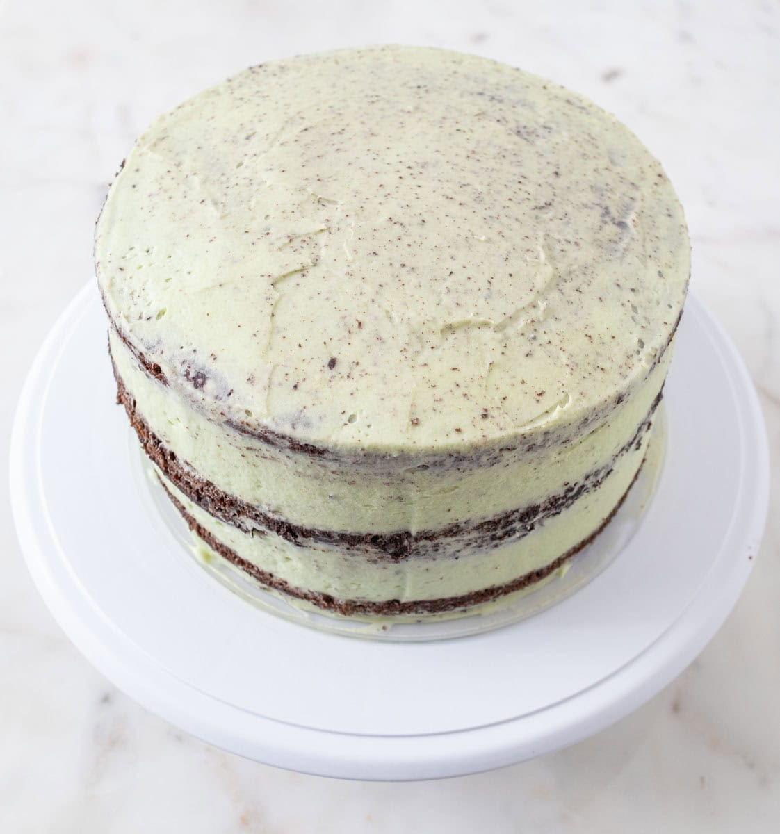Chocolate Mint Cake with Mint Cream Cheese Frosting | thewendthousekitchen.com A chocolate mint cake crumb coated with mint cream cheese frosting on a white cake stand.