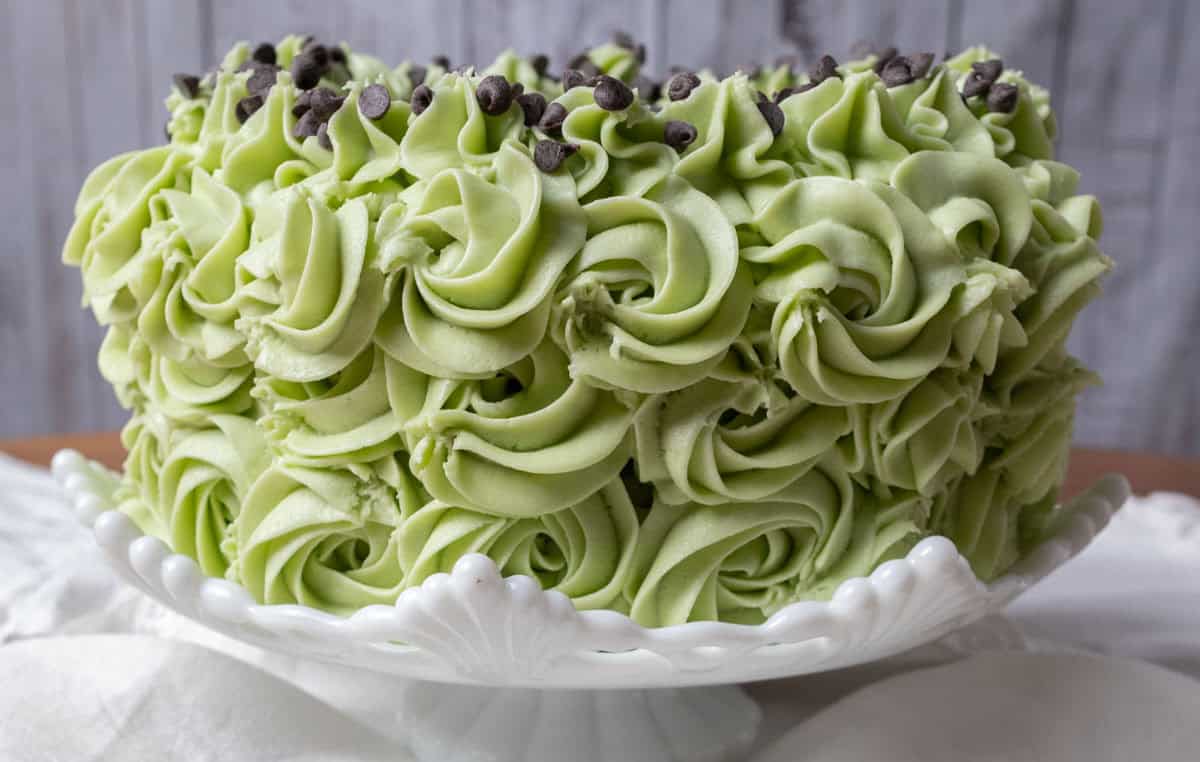 Chocolate Mint Cake with Mint Cream Cheese Frosting | thewendthousekitchen.com Rosettes piped onto the side of chocolate mint cake with green cream cheese frosting. Chocolate chips around the top border.
